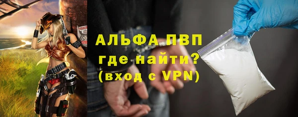 дживик Богородск