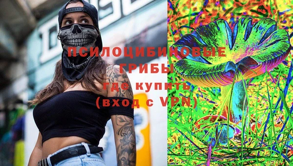 дживик Богородск