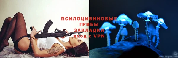 первитин Белокуриха