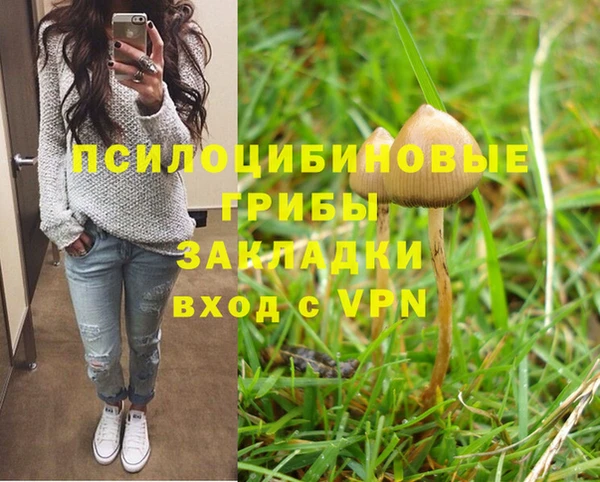 гидропоника Беломорск