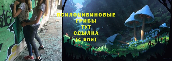 дживик Богородск