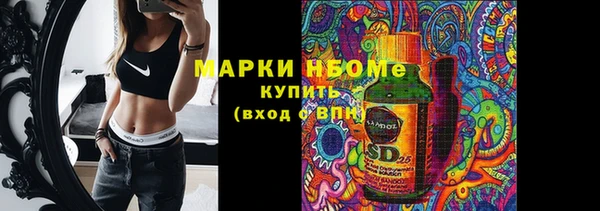 дживик Богородск