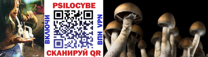 Псилоцибиновые грибы Cubensis Кушва