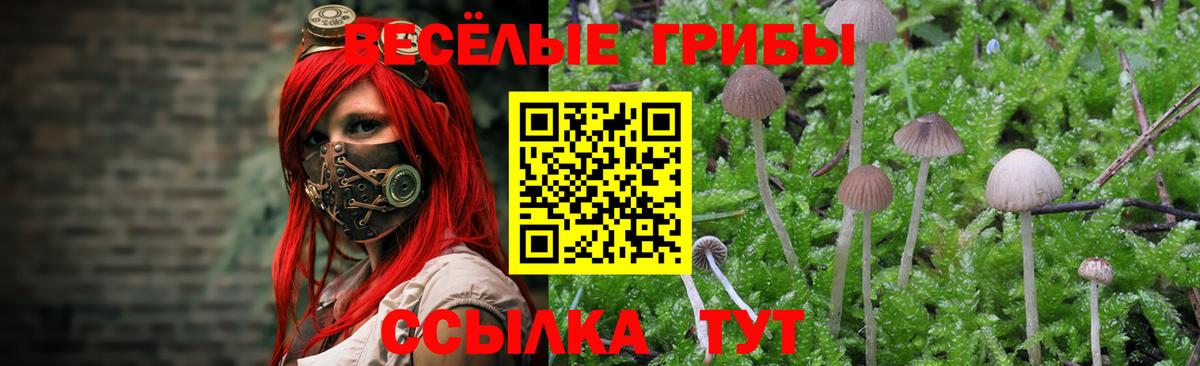 Псилоцибиновые грибы MAGIC MUSHROOMS Кушва