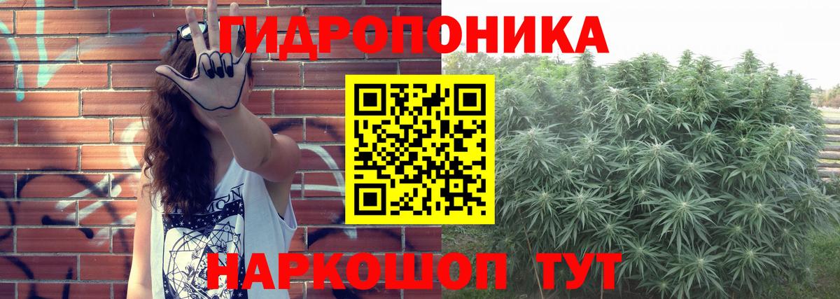 Каннабис Bruce Banner Кушва